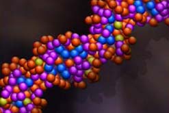 Image: Human DNA