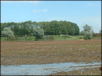 Horsey Hill fort