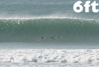 6ft pic by caws