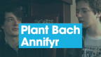 Proffeil Plant Bach Annifyr