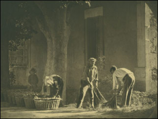Washing Potatoes, St Remy