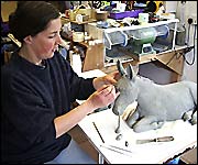 Comissioned by the Donkey Sanctuary, Tess works in her studio to finish the piece
