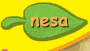 Nesa