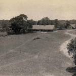 Basha in Assam