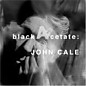 Review of blackAcetate 