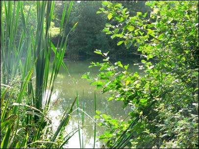 Redmire pool