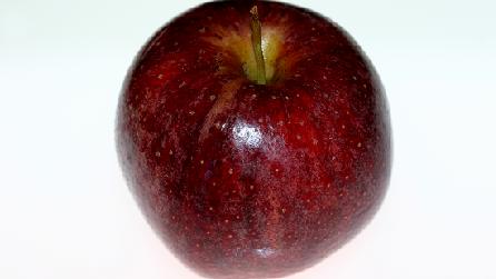 Isaac Newton's Inspiration Isaac Newton's Inspiration