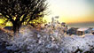 Detail from Dai Lloyd's photograph, Breakfast snow in Swansea