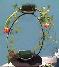 Insert tulips