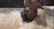matis's video screenshot thumbnail