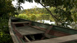 A boat on the flooded forest