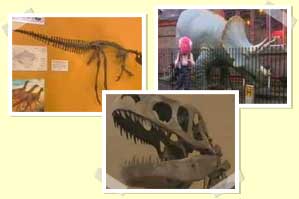 Dinosaur World