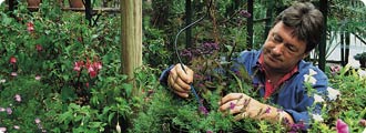 Drip irrigation