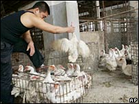 Việt Nam gần đây đã phát hiện các ổ bệnh tại các tỉnh phía bắc