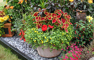 Container gardening
