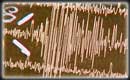 B-type vibrations in video