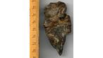  Flint Find. Shaped Like Mammoth Skull, 