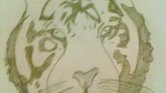 My Tiger Drawing... My Tiger Drawing...