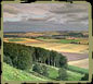 Nechtansmere landscape