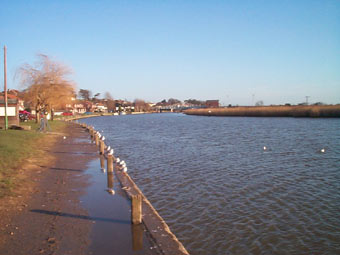 River at Reedham.