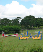 Bradley's practice area