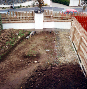View of the back garden from upstairs window