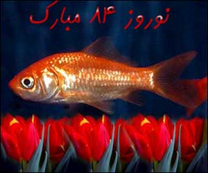 علی شيرجان