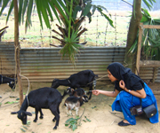 Saadeya on the farm