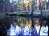 View the mill ponds.