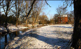 River and woodland