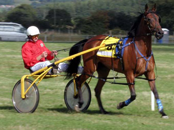 Rasus Tregaron 2006