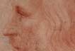 Portrait of Leonardo