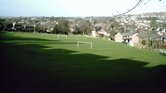 Beautiful field...