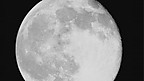 Man lands on the Moon