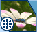 Plant lists