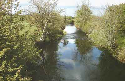 Agivey River at Cullycapple Bridge, Aghadowey. Photograph taken by Pearl Hutchinson