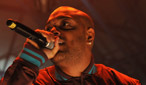 Donaeo