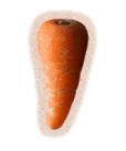 How to grow your Royal Chantenay Red carrots