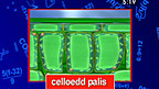 Ymddygiad Celloedd