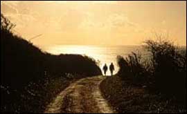 Green lane at Blackstone Point near Kingswear
