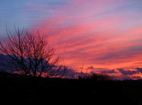 A pink sky