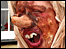 Cricklade Medieval Street Festival