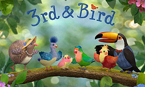 3rd & Bird