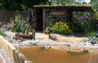 The Cockler's Garden