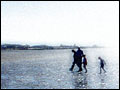 Walking on the beach in Hunstanton.