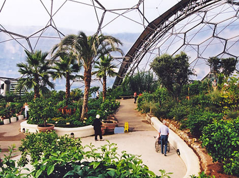 Biomes at at Eden