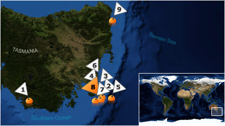 Dive map - Southern Ocean - Site 8