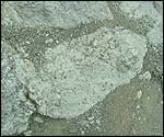 Limestone surrounded by eroded fragments
