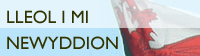 Newyddion