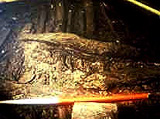 Image of the underwater timber remains